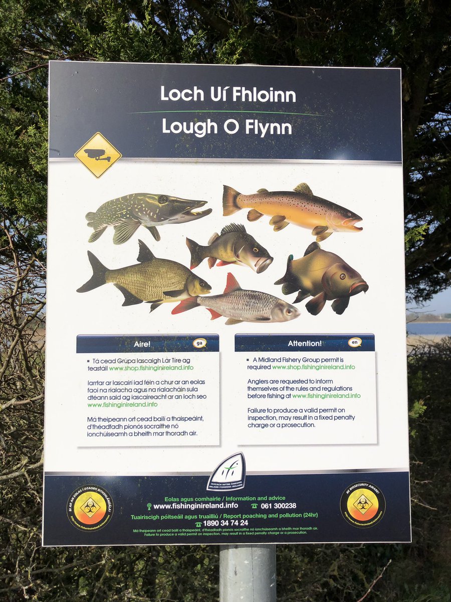 Bikermice🐭 (@muratcycling64) on Twitter photo 