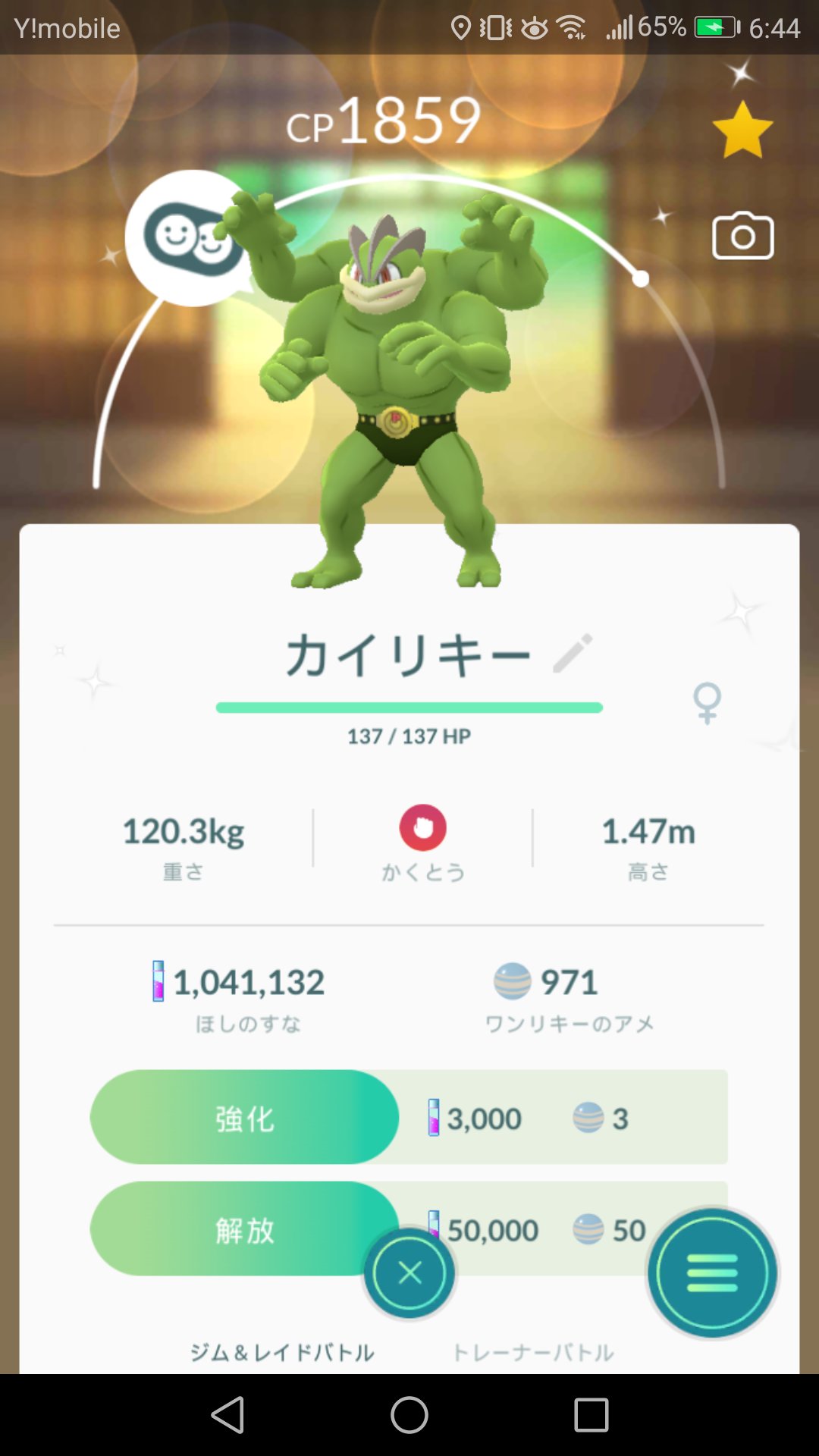 Captain 色違いワンリキー カイリキー ポケモンgo Pokemongo T Co Ze6hv6ik2l Twitter