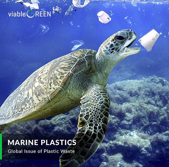 ADGEX_official's tweet photo. Marine animals swallow #plastic bags taking them for #jellyfish. Similarly, #birds and #animals consume #microplastics mistaking them for #plankton. #Wildlife is dying because of us. Let’s stop it #together! Join #viableGREEN today to make the #Planet greener and safer!
#adgex https://t.co/1iyXhiAtzM
