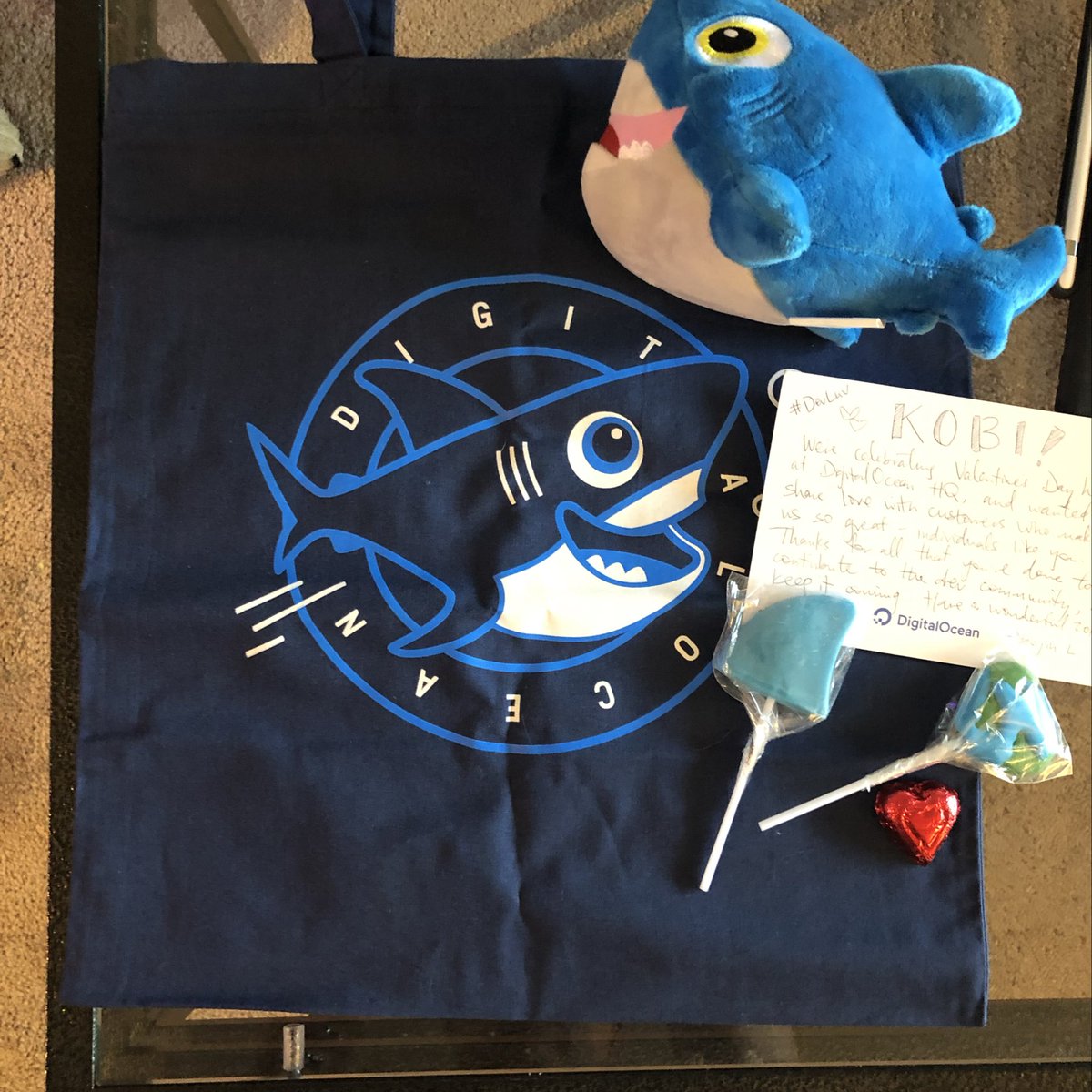notmadeofbeef's tweet photo. Got home today to find some surprise swag from @DigitalOcean. Thank you so much you guys! Spread the #DevLuv 💜💻 https://t.co/BQpNrXsUM6