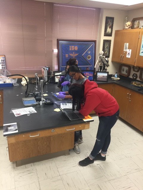PaloDuroHS's tweet photo. A&amp;P classes dissecting hearts and documenting on chromebooks utilizing Aver Document Cameras. @AmarilloISD @ccki @Avermedia https://t.co/oSQAhdmfjZ