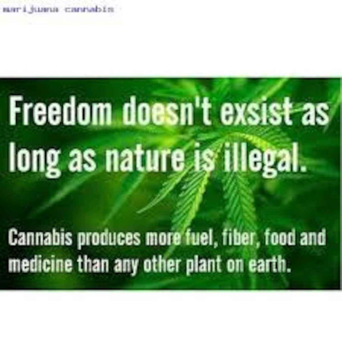Homestead4Honey's tweet photo. #FoodForThought https://t.co/rbLXiirLyv