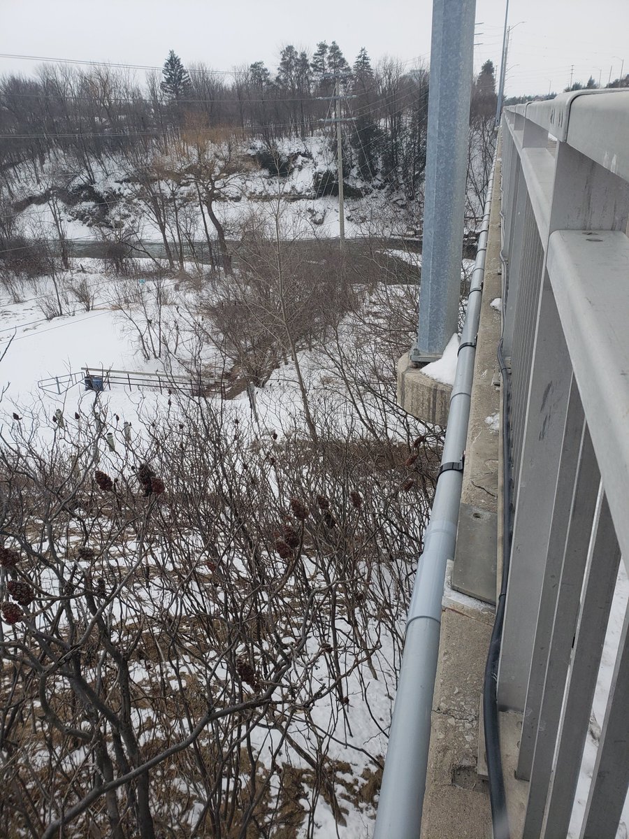 ElmarElectric's tweet photo. #conduitpipe project finished in #Mississauga now the #contractors can run #fiber, 4 other #electrical companies turned this job down and could not do it!! https://t.co/FWAs2pVoU1