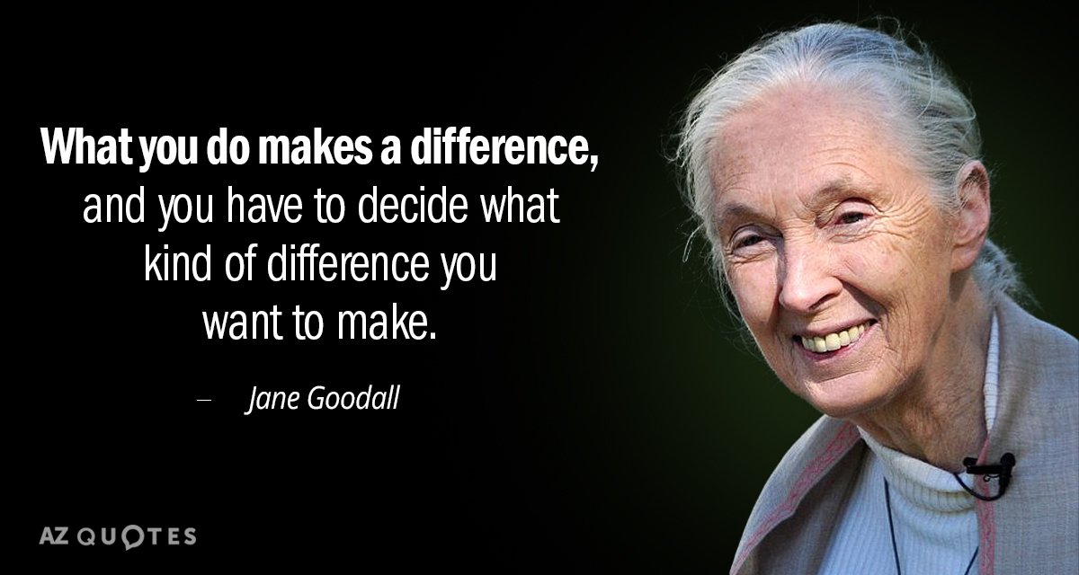 Happy Birthday Jane Goodall!  