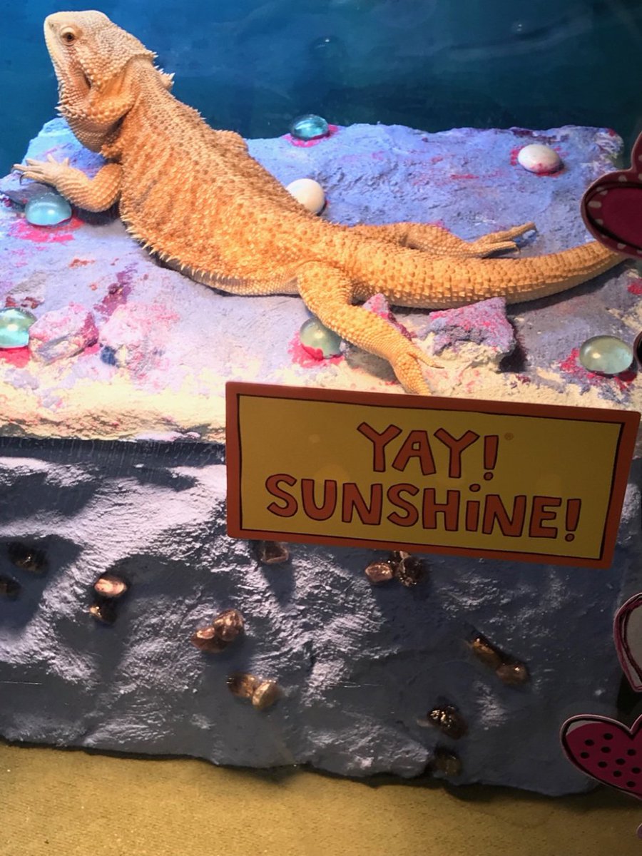 wilderwanderer.wordpress.com/2019/03/05/112/