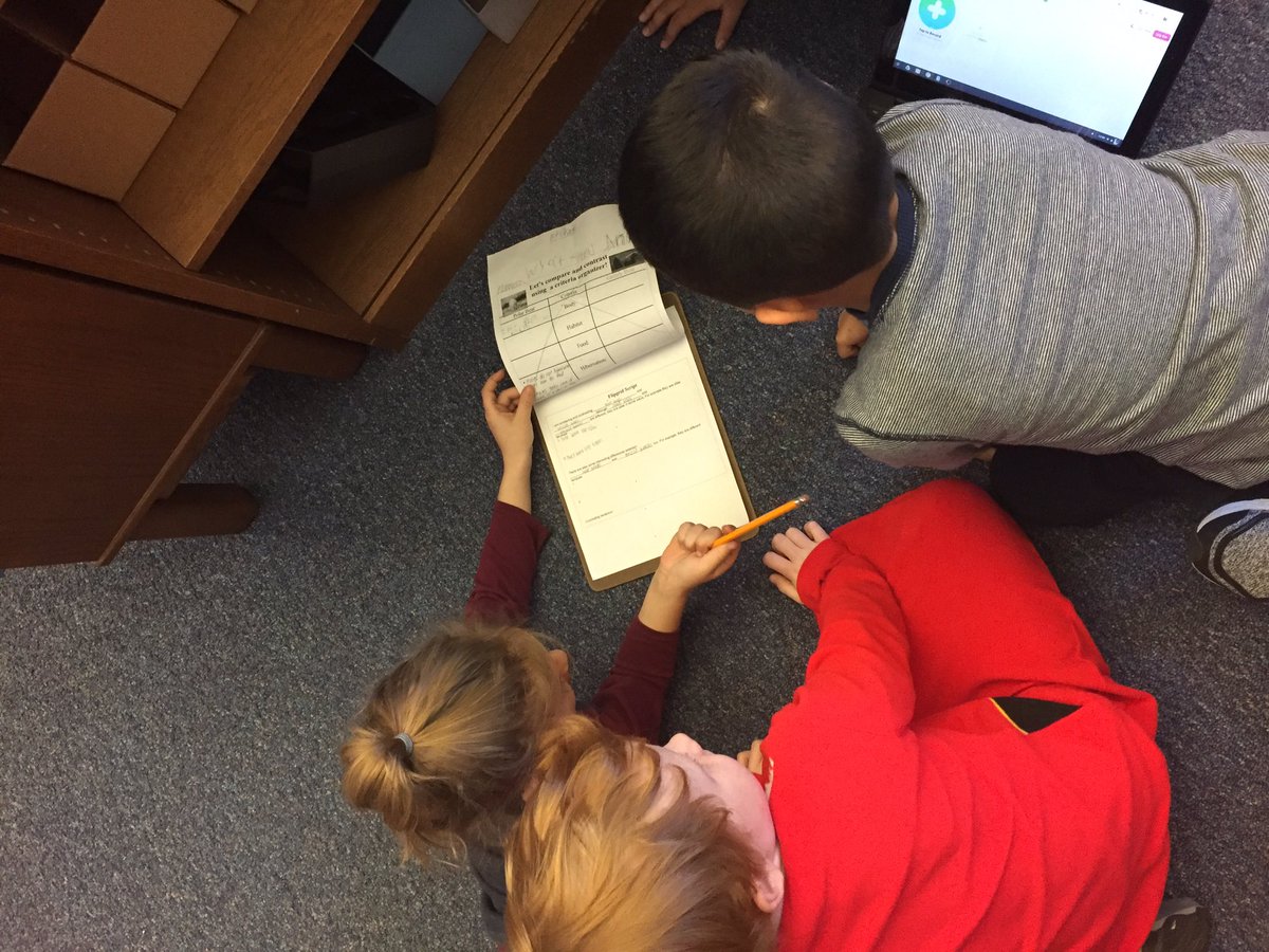 FCPSMoESMedia's tweet image. 3rd helping 1st write a script about their research from comparing and contrasting polar bears and grizzly bears and creating a Flipgrid video to share what they learned! #buddyclass #oneteam