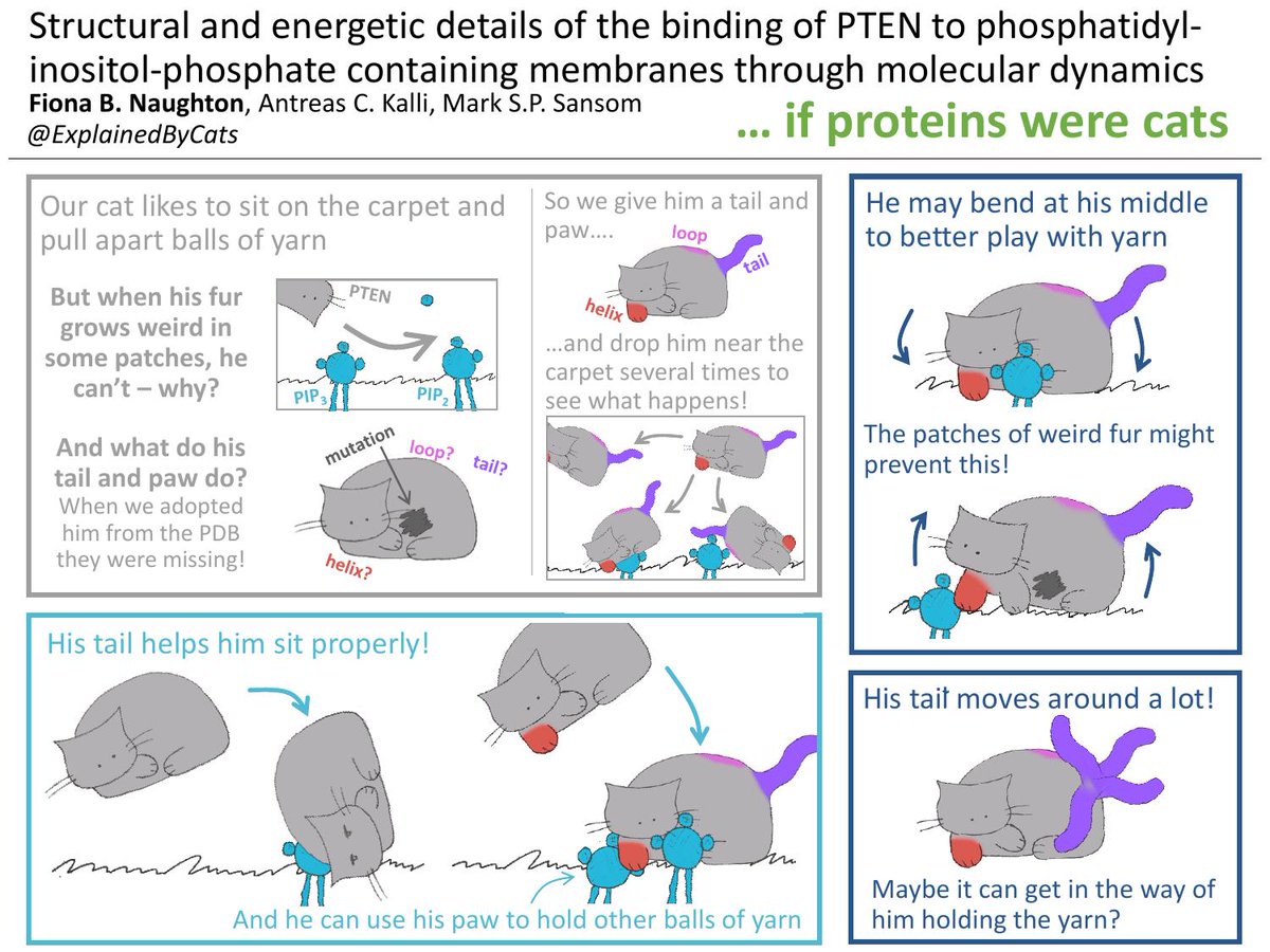 Fiona Naughton tweet media