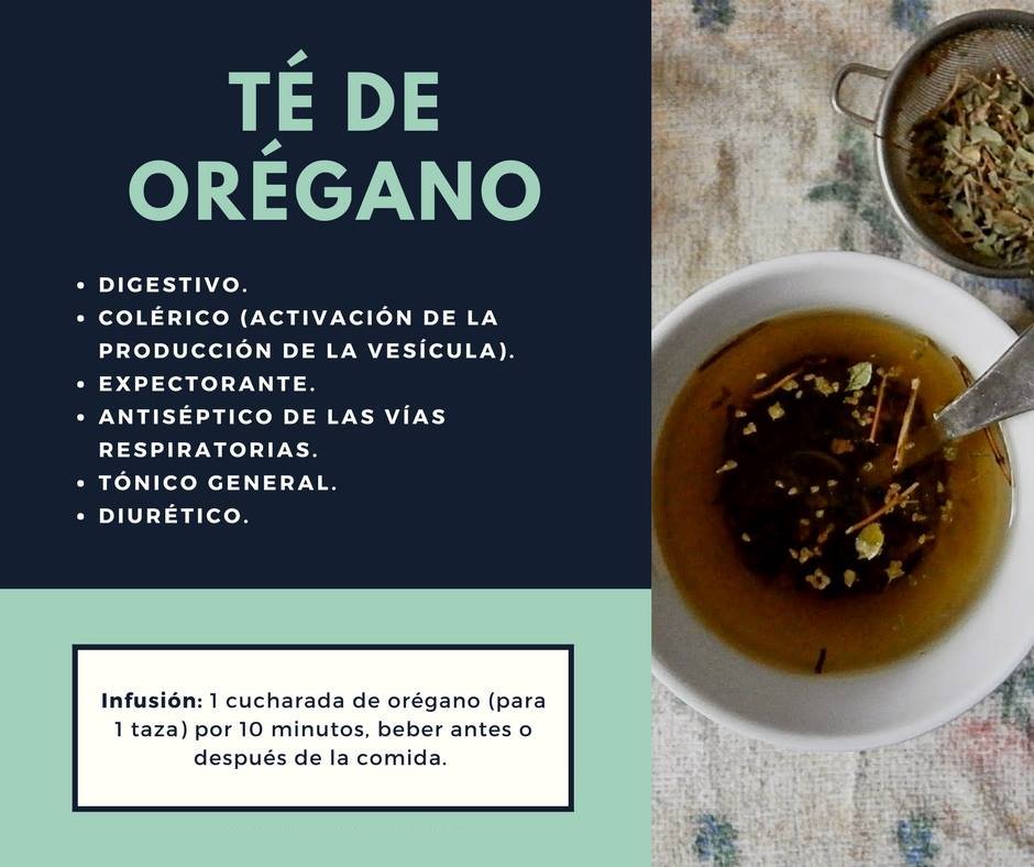 El orégano es una planta muy usada en el mundo gastronómico, pero ¿Sabías que tiene muchas propiedades curativas? Conócelas aquí: remediospopulares.com/oregano.html
