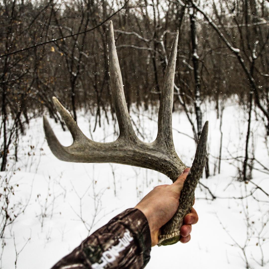cabelascanada's tweet photo. Nothing like a little #ShedHunting to get you through the long winter. 

Photo courtesy of Hunter I. https://t.co/QNvepRirqX