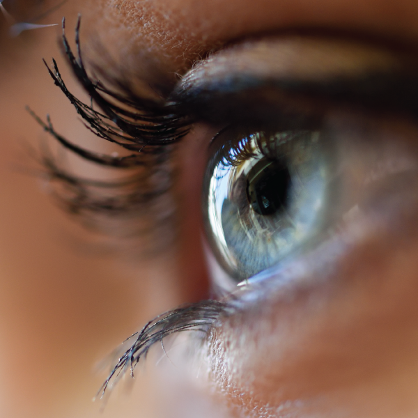 HIPAAComplete's tweet photo. Save Your Vision Month.  As primary health care providers, doctors of optometry have extensive, ongoing training to examine, diagnose, treat and manage ocular disorders, diseases and injuries and systemic diseases that manifest in the eye. More info: https://t.co/bpfBqSMAlo https://t.co/ydQzaSN0Jt