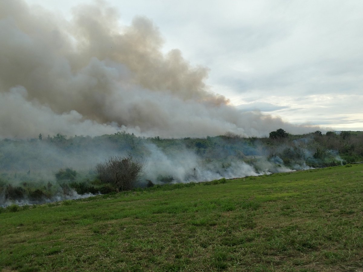 AlanVanNahmen's tweet photo. @TRIBINE I've been down in Belle Glade Florida south of Lake Okeechobee in the Sugar Cane harvest area.  No snow here, just smoke. https://t.co/r23x4Doimb