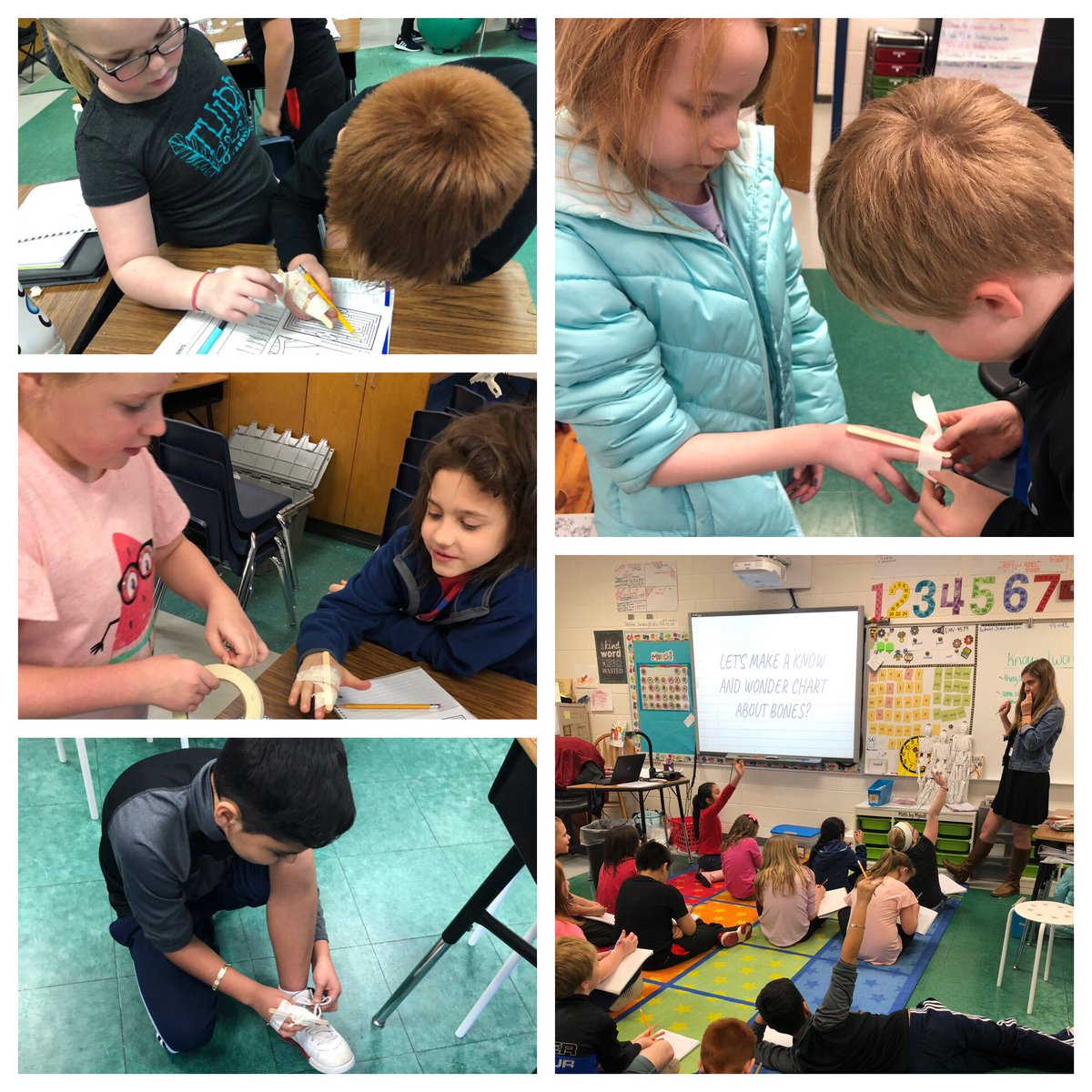 Clandess80's tweet photo. Learning about joints with Ms. Steffenson!@beverettjordan @Elon_Ed https://t.co/9tLZQNGGjK