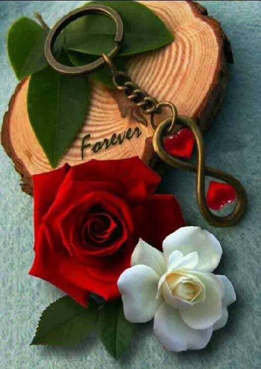 Nore__e tweet picture