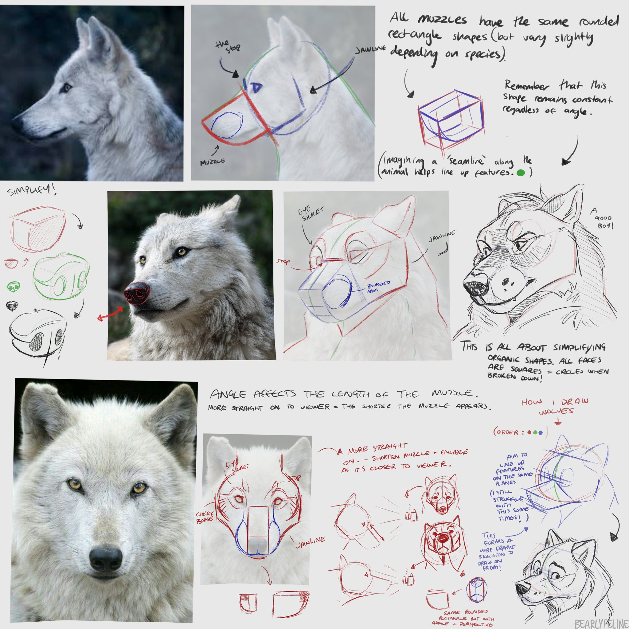 Bri On Twitter: "A Friend Asked Me For Some Muzzle/Face Drawing Advice So I  Made These And Figured Someone Might Find It Useful! (Please Excuse My  Awful Handwriting! :'D) Https://T.co/Vepqvgdwrg" / Twitter