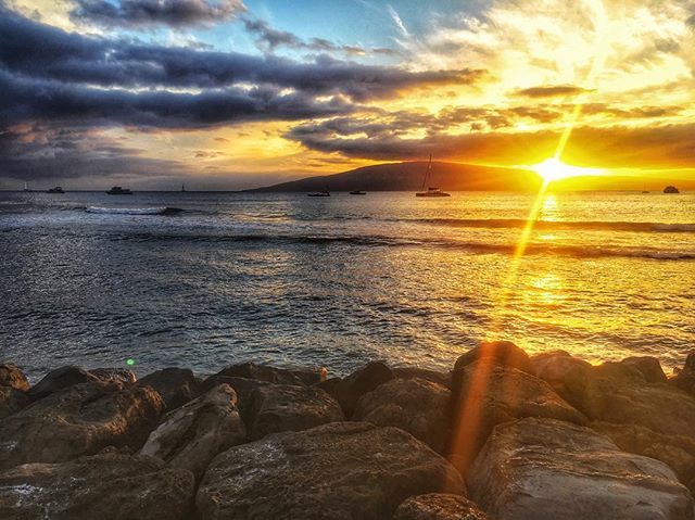 Corey Mount tweet media