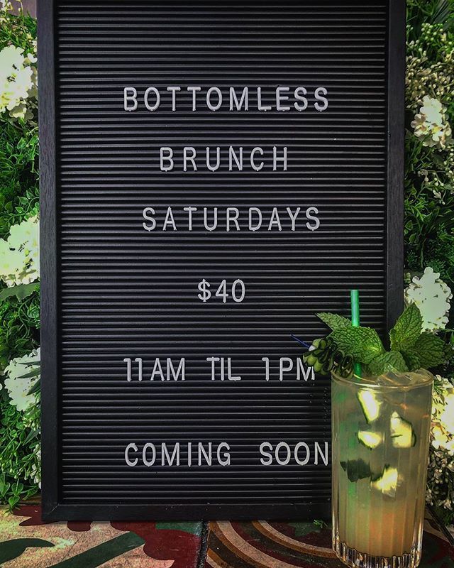 BearBrassBar tweet media