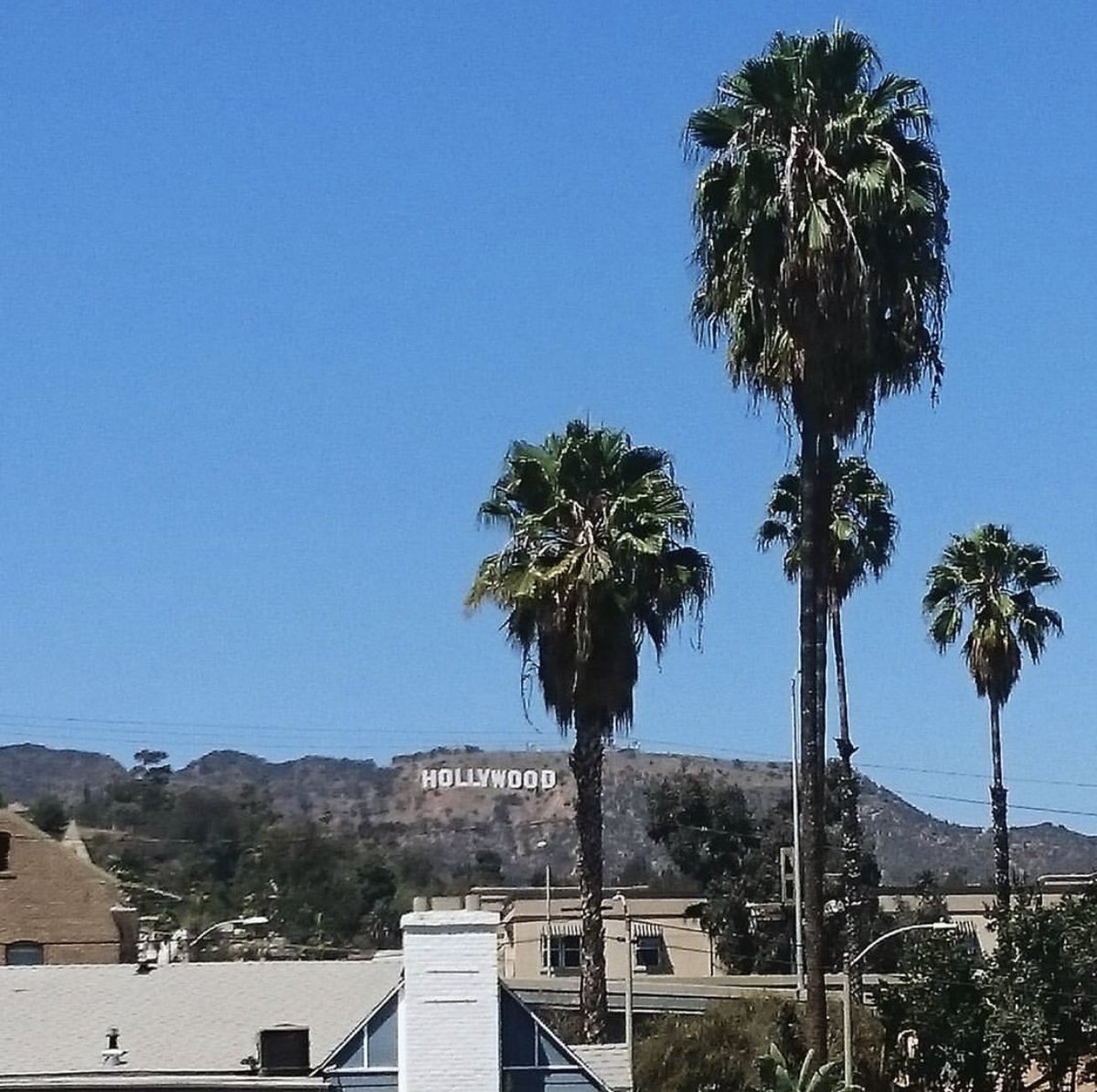 fareedPF's tweet photo. When i was in Cali blazing #HollywoodOG. 🤫 https://t.co/0g2SPXfull