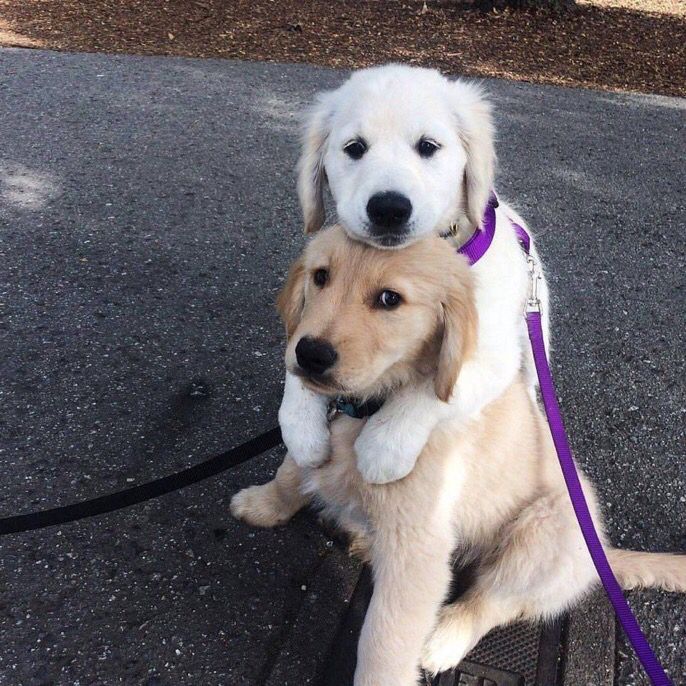 how i'm tryna be with bae