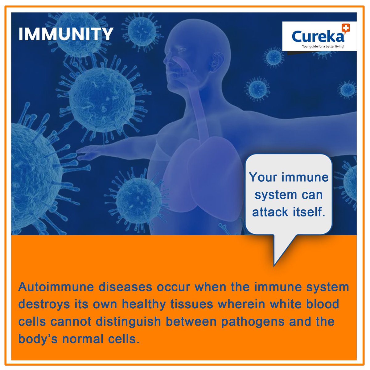 CurekaStore's tweet photo. Did You Know ?
#supplements #vitamins #minerals #vitaminc #folate #immunity #autoimmunedisorder #cellprotection #freeradicals #foodismedicine #antioxidants #healthtips #healthy #healthylifestyle #healthylife #healthylivingjourney #lifestyle #cleaneating #drinkup #india #wellness https://t.co/ToRYHzEAxV