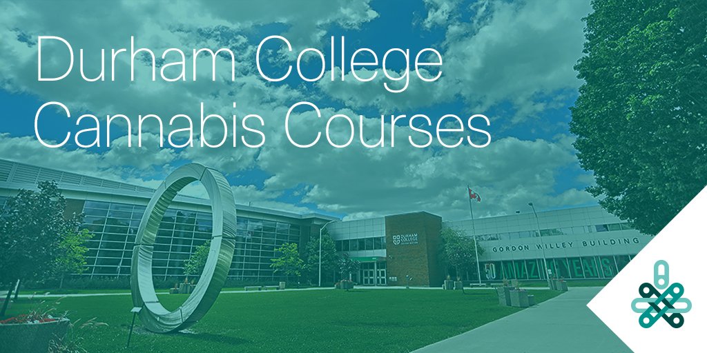 GrowWise Health’s partnership with <a href="/durhamcollege/">Durham College</a>  is expanding. The #Ontario college is now offering four different #cannabis-related educational courses for spring. Learn about each class and how to register at the link>> bit.ly/2UkMMid #GrowWiseHealth