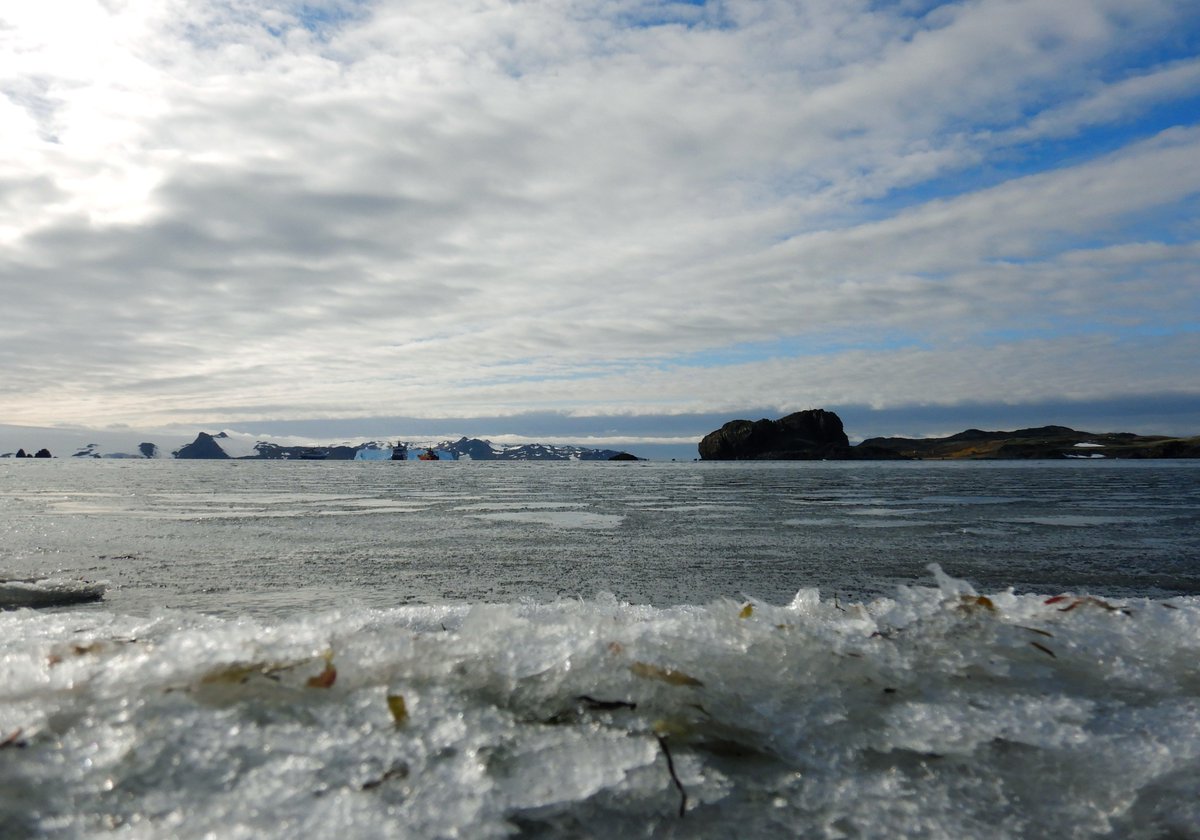 erasmomac's tweet photo. Antartica, South Shetland Islands, Antarctic Peninsula. #AntarcticaIDEAL #ECAIDEAL2019 #ECA55 #AlgaLabECA55 #Antarctica ❄️🇦🇶👍🙂. https://t.co/imqQCIUQHI