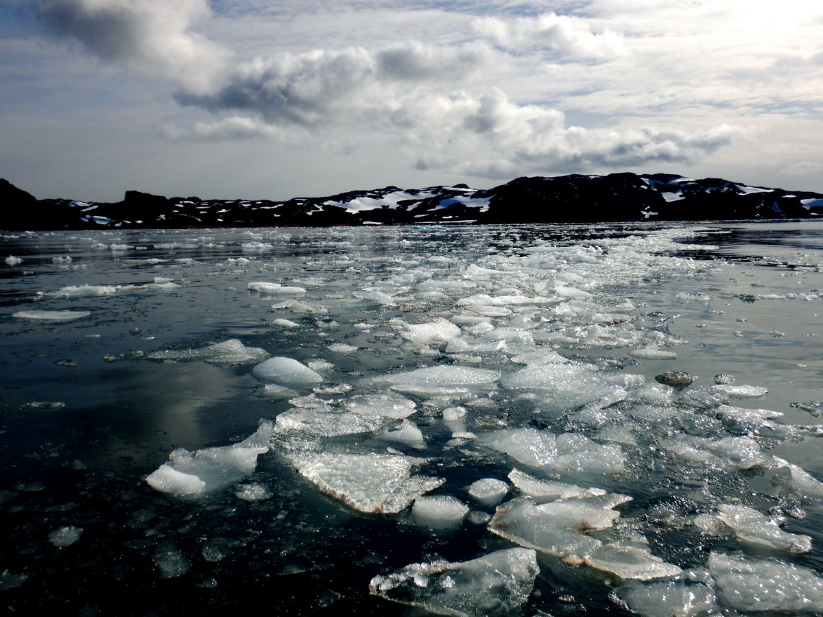 erasmomac's tweet photo. Antartica, South Shetland Islands, Antarctic Peninsula. #AntarcticaIDEAL #ECAIDEAL2019 #ECA55 #AlgaLabECA55 #Antarctica ❄️🇦🇶👍🙂. https://t.co/imqQCIUQHI