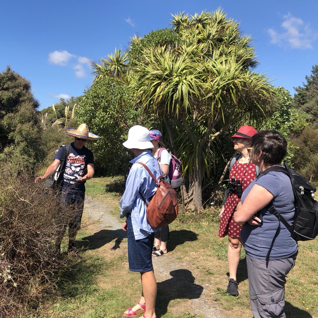 docgovtnz's tweet photo. To celebrate #Seaweek2019 we’re out at Pauatahanui Reserve getting to know some of the local residents around the estuary. #CitizenScience #OurEstuaries https://t.co/bAuCcXU2Cj