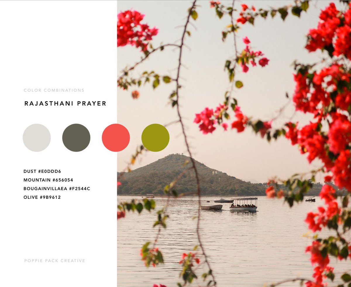 poppiepack's tweet image. Colour Combinations ❤️ I took this photo in Rajasthan last year. Beautiful tones of sunrise created by dust over the lake, framed with electric bougainvillea falling off the walls of the @TajHotels #tajlakepalace #colorcombinations #design #IncredibleIndia #poppiepack