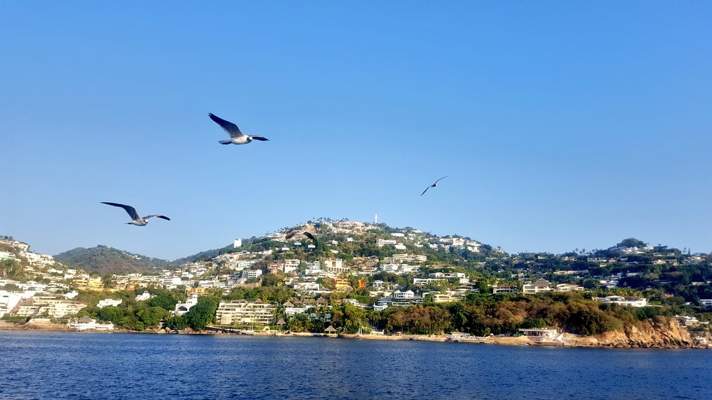 el_souvenir's tweet photo. Disfrutar de un refrescante coctail 🍹 en el @YateACAREY mientras ves la puesta de sol🌅 son una de las cosas que no podras perderte si estas en @Acapulco
#ViajaCon @estrella_de_oro https://t.co/k4674LpdA2