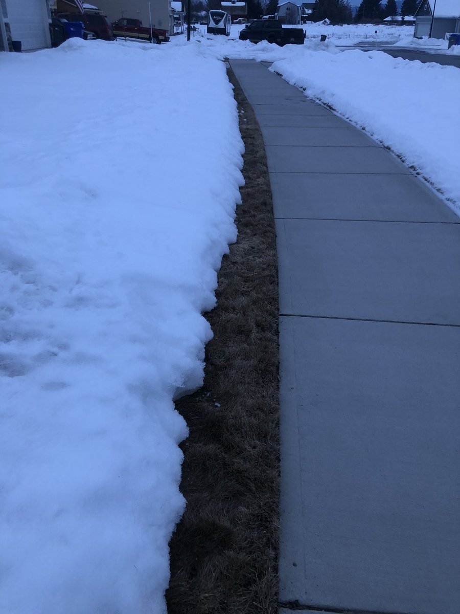traci_couture's tweet photo. Well hello there grass. Haven’t seen you in awhile. #hasspringsprung? https://t.co/62RjfZtqt4
