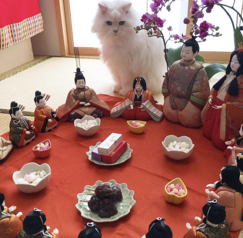 ひな祭りが終わった後の雛人形は、実はこんなこときているかもしれないｗｗｗ