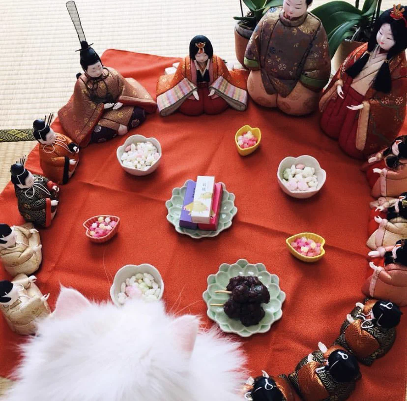 ひな祭りが終わった後の雛人形は、実はこんなこときているかもしれないｗｗｗ