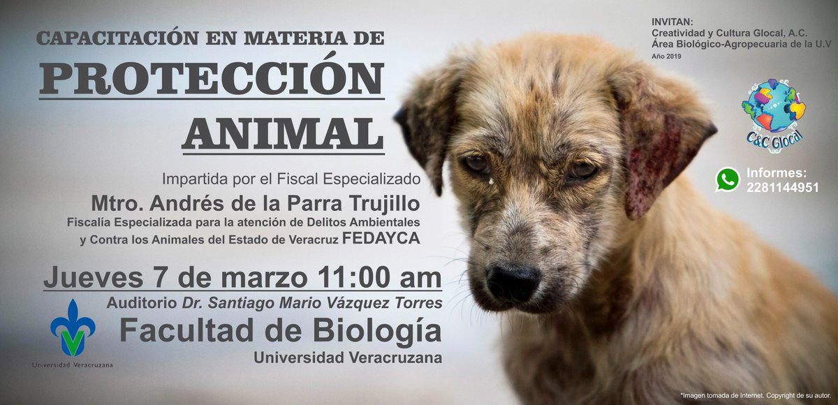 LuandaSmith's tweet photo. En la ciudad de #Xalapa #FEDAyCA #CyCCausasSociales #Noalmaltratoanimal https://t.co/1tzAgwiOcD