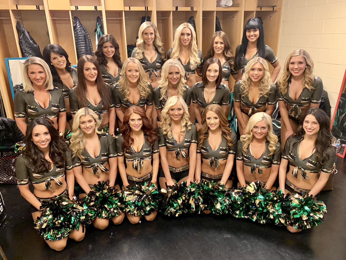 GAME ON! Let’s Go Stars! 🇺🇸🏒💚⭐️ #USA #DSIG #icegirls #veteransappreciationnight