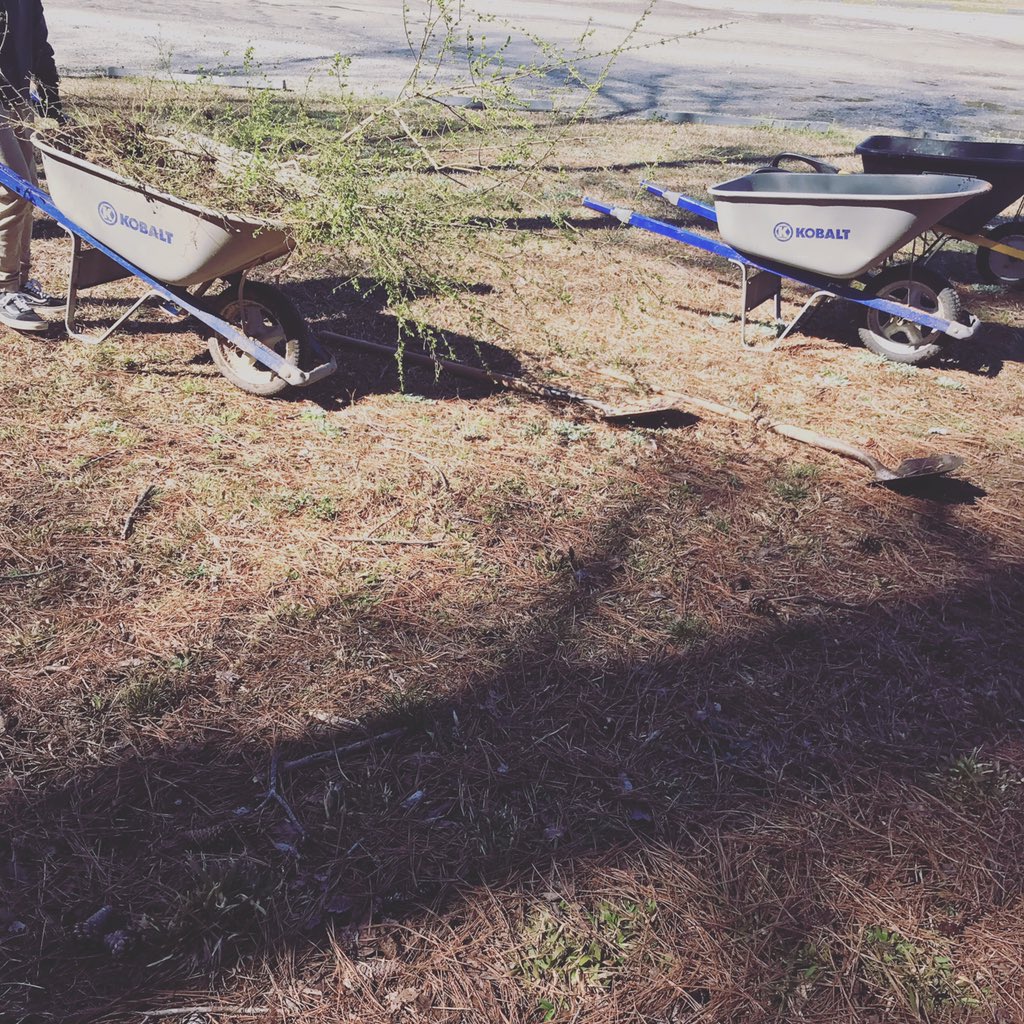 MountainArabia's tweet photo. Chinese privet pull, meant removing an invasive and exotic species to make room for our native plants! #privetpull #arabiaranger #mixedhardwoodforest https://t.co/zYyaDmQwbv