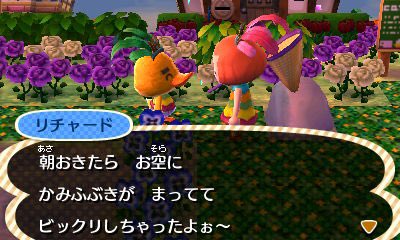 とび森カーニバル とび森カーニバル