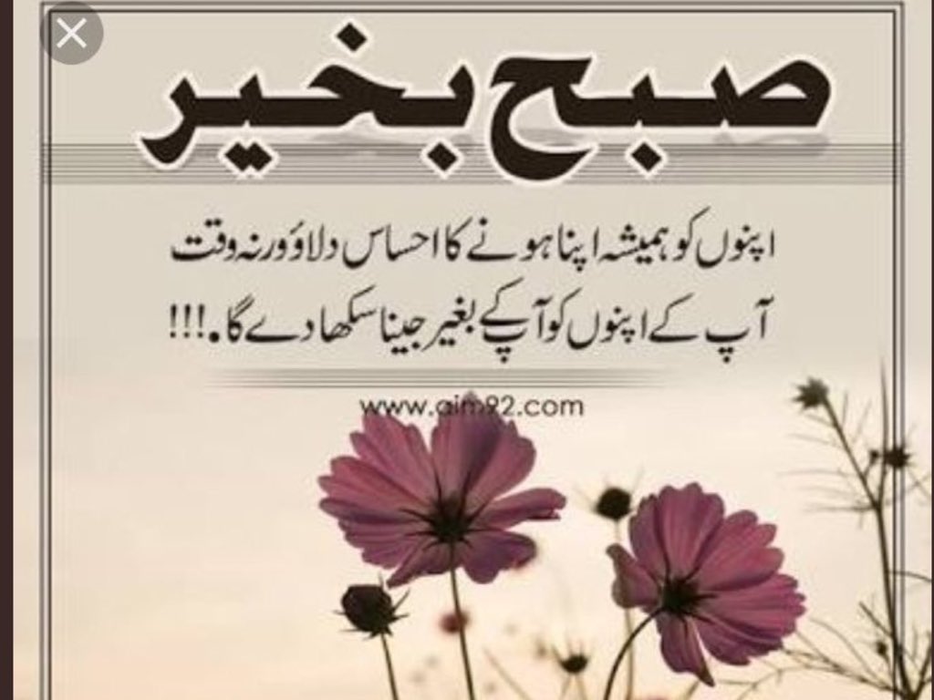 mustehsin49's tweet photo. https://t.co/P3Ow3DlAv5