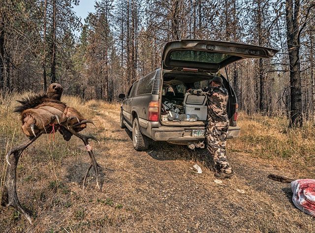 PKDOUT's tweet photo. We were on the highest of highs at this moment. Dipping into the @yeti after a long, eventful day. Roosevelts... I can’t get enough of them. #BigBull #PKDOut #RooseveltElk #KUIUNation #HoytTaggedOut @kuiu_official @caribougear @gmc https://t.co/iUPmUA4r3H