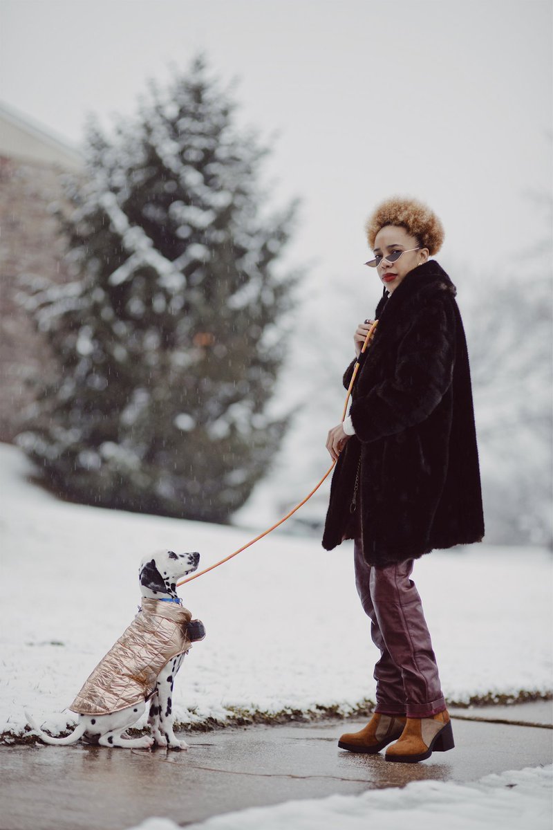 TonaeLee's tweet photo. Me and my young baller β₯οΈ #winstonthebossdog.
πΈ #StewdioVisuals
#StyleFanaticStylings #DalmatianNation. https://t.co/HlgRQpBzek