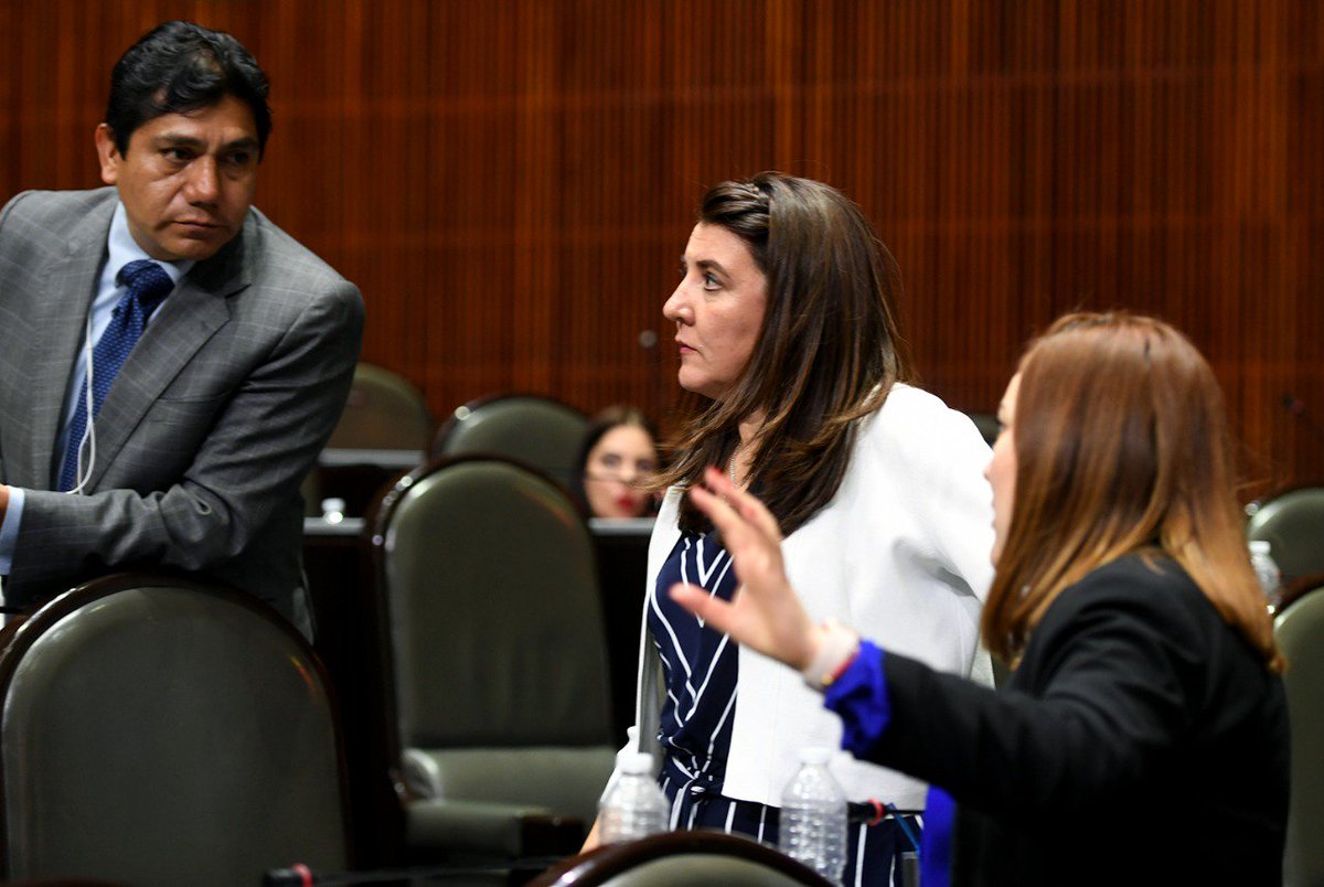 veronicasobrado's tweet photo. Aprobamos en #SesiónOrdinaria que las personas de talla pequeña sean concebidas con Discapacidad Física en la Ley General para la Inclusión de las Personas con Discapacidad, a fin de garantizarles condiciones de igualdad en nuestro país. https://t.co/g7A9tjHeeK
