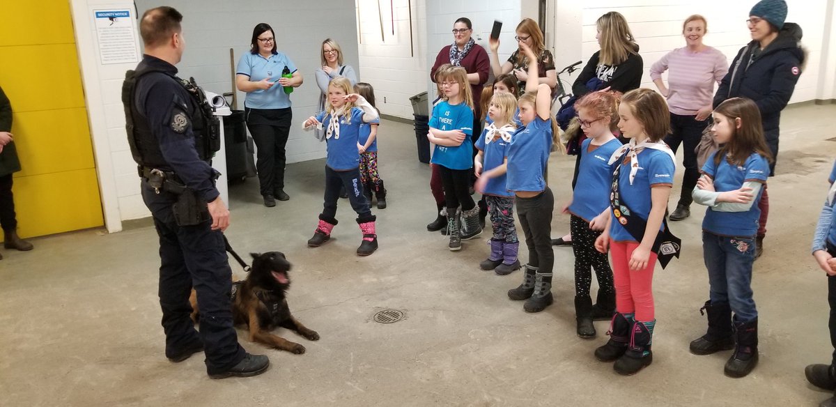 evanbrayshow's tweet photo. Thank you also to Cpl. Lorence and PSD Ralph for the great demonstration and discussion with our Brownie tour about how our @reginapolice K9 section helps keep our city safe! #excitedtomeetralph #appreciative #brownies https://t.co/QgDkAE5b3w