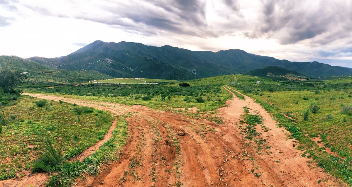 Fernando Pérez Castro tweet media