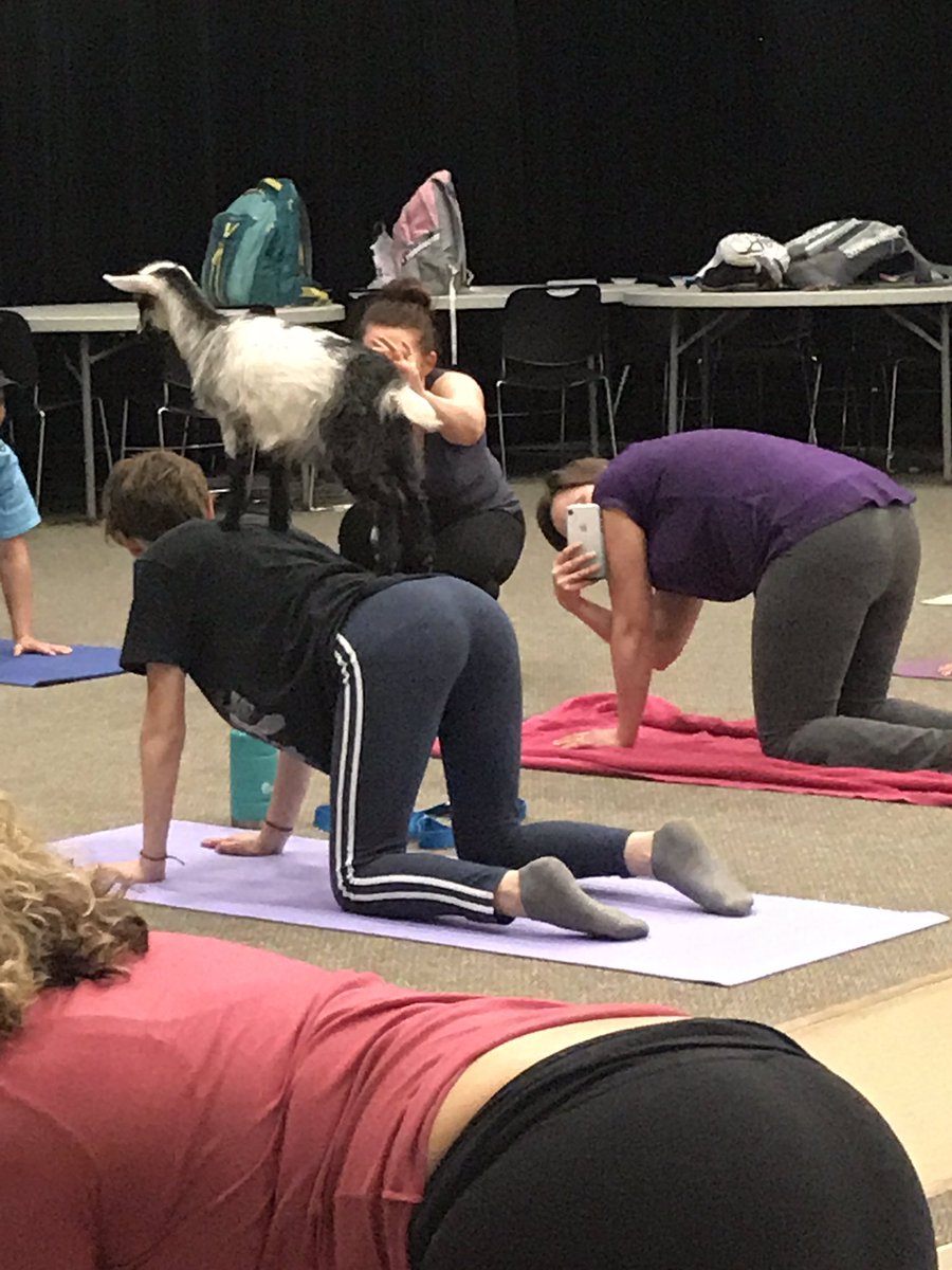 animalclubwhs's tweet photo. So many great pictures and fun experience!  If you missed out today, visit @happygoatluckyyoga to experience the fun https://t.co/WZbJmojrCg