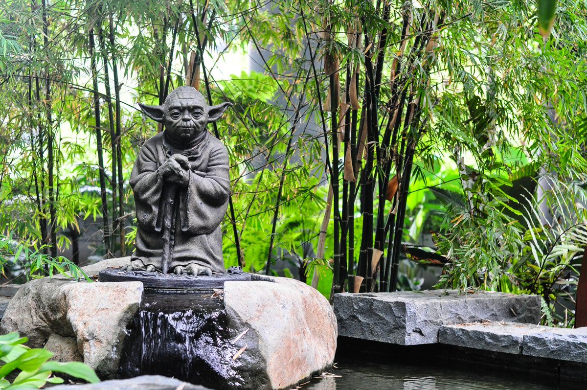 anticancerclub's tweet photo. “You must unlearn what you have learned.” --Yoda on creating an #anticancer life https://t.co/S7Y8Gd5UcM