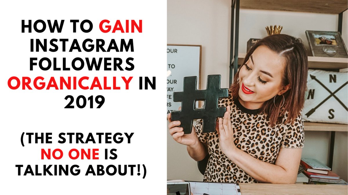 lovinglybold's tweet image. New video on #YouTube !! How to gain instagram followers organically in 2019! The strategy no one is talking about😬 
Link👇🏼
youtu.be/NlzkSxRaBHw

 #instagramupdate #womeninbiz ##womenwhohustle #socialmediatips #socialmediamarketing #VideoMarketing