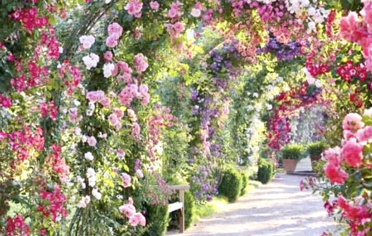 If I had a flower for every time I thought of you... I could walk through my garden forever. 

~Alfred Tennyson
