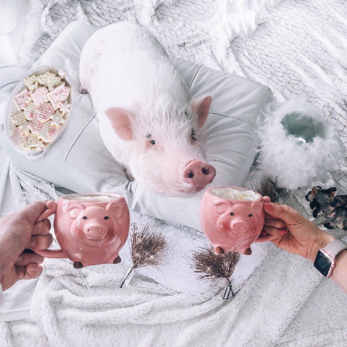 I need a PIG cup of coffee ☕️