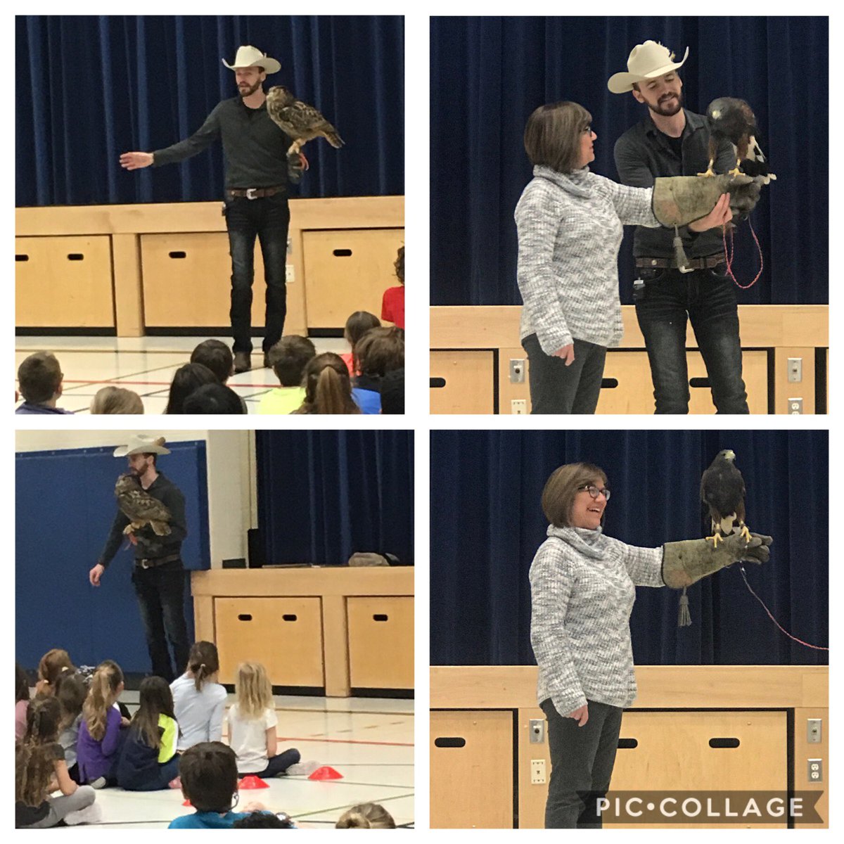 Ss enjoyed the Birds of Prey presentation today. Thank you SAC! ⁦<a href="/SpringbankPS/">Springbank PS</a>⁩