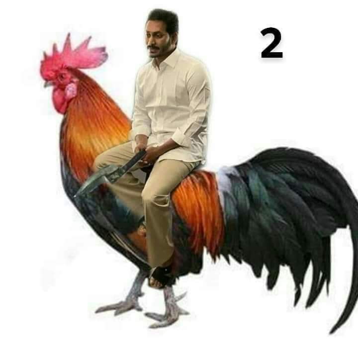 UNKNOWN92048679's tweet photo. అభివృద్ధి దిశగా #AndhraPradeshCM  @ncbn మళ్ళీ మీరే రావాలి...
అవినీతి దిశగా కోడికత్తులతో #420జగన్  రావొదు జగన్ మాకు వొద్దు జగన్.. #jaganstealsvotes #Jagan420 #JaganAndhraDrohi #JaiTDP https://t.co/TtDmivDGn9