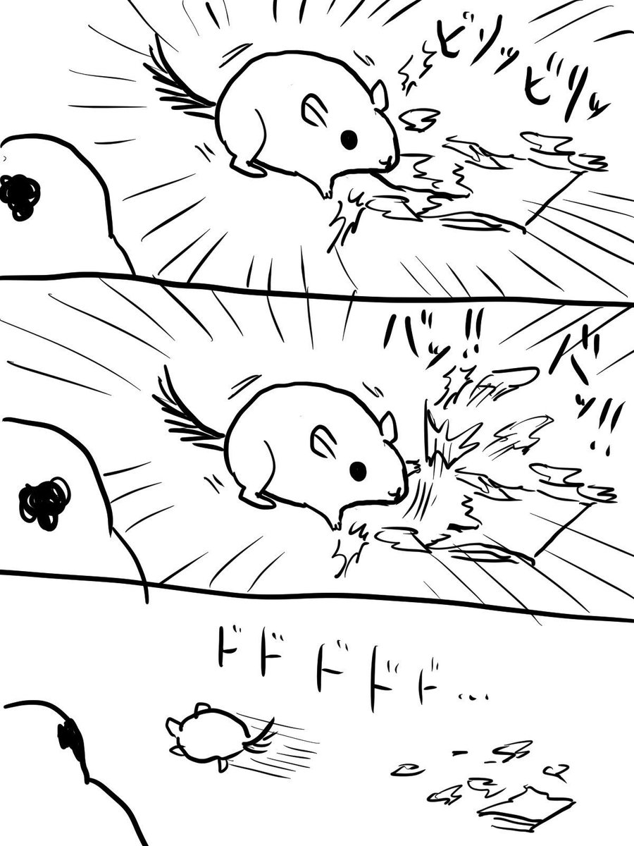 ついでと言ってはなんですが良かったらchinchillaのマンガを見てください 